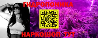 тгк Славгород